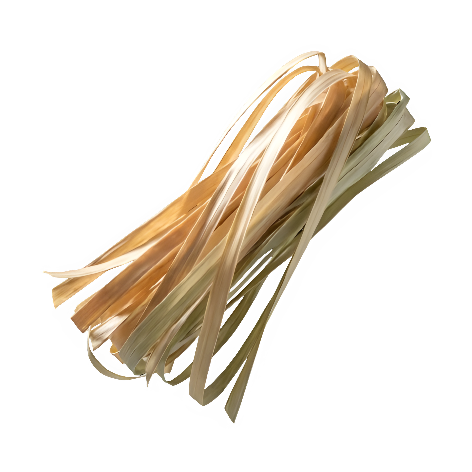 Raffia