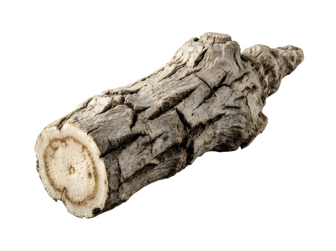 Costus Root