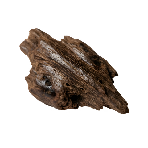 Oud integration