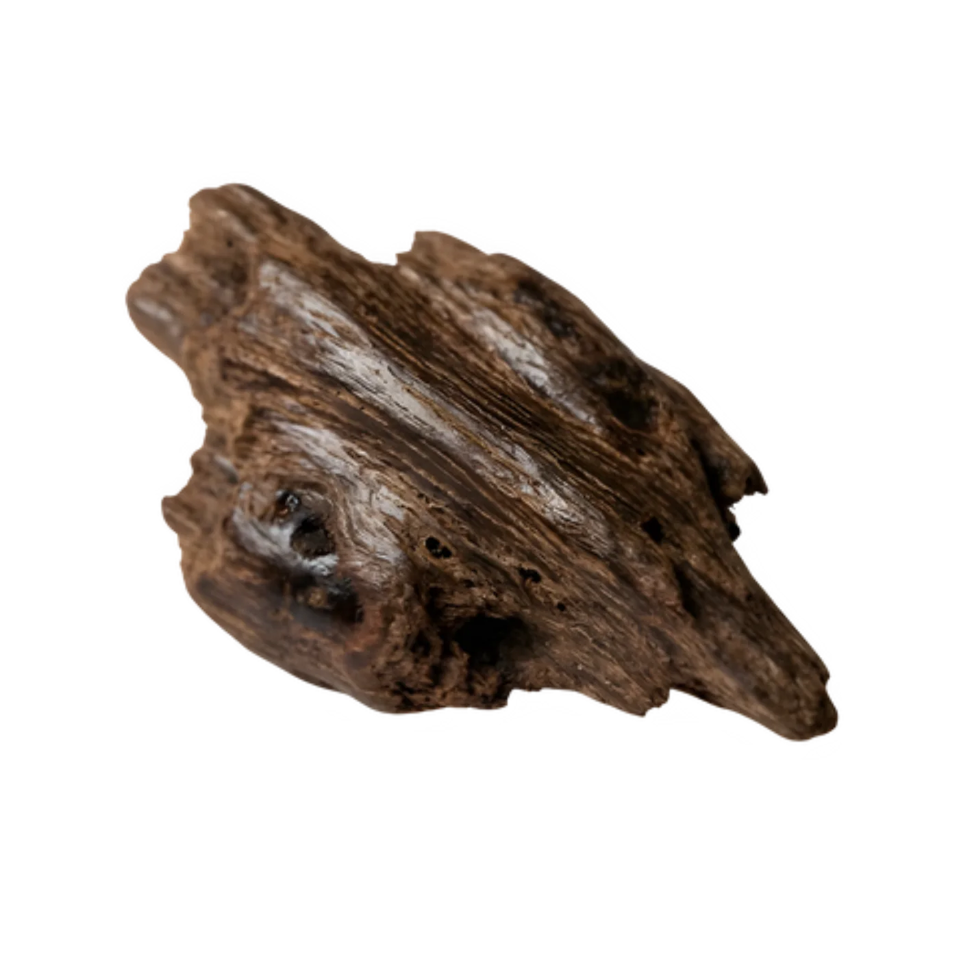 Oud